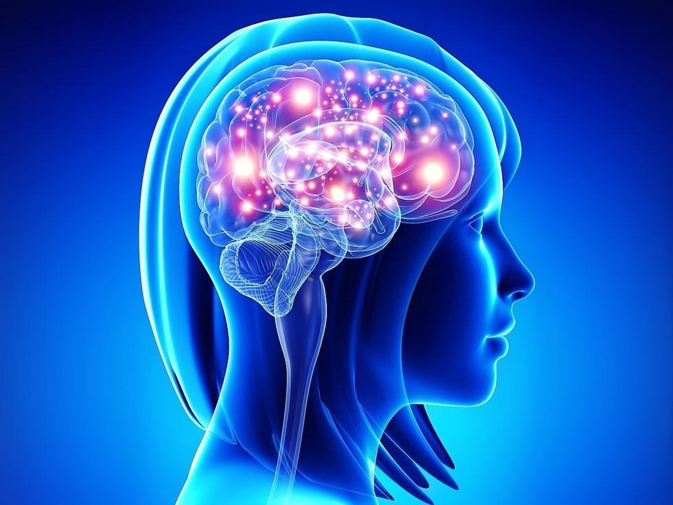 04_04_2018_padma-basic-model-molekul-dejstviy