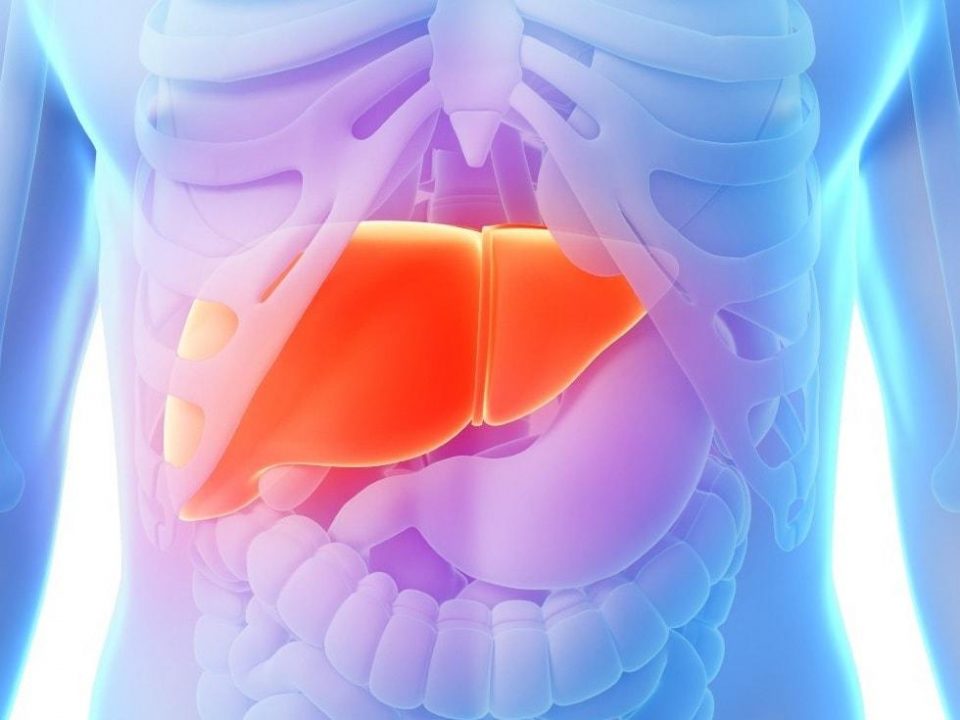 Покращення стану печінки при фіброзі