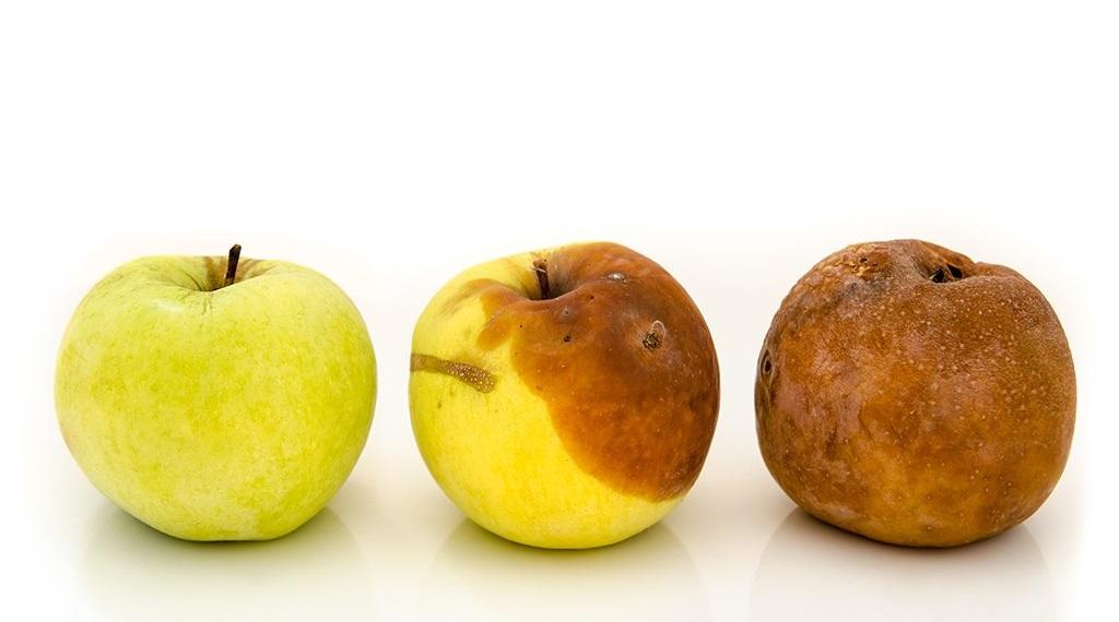 01_10_2021_okislitelnyj-stress-prichina-mnogih-zabolevanij