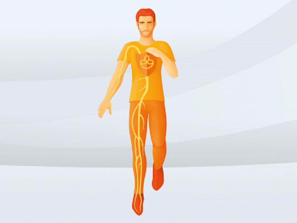 09_10_2021_zdorovoe-krovoobraschenie-dlya-kletochnogo-pitaniya