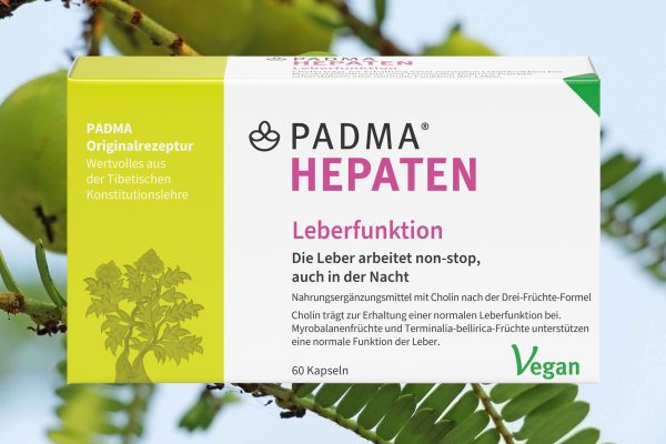 Здорова печінка та Молодість Padma Hepaten (60)