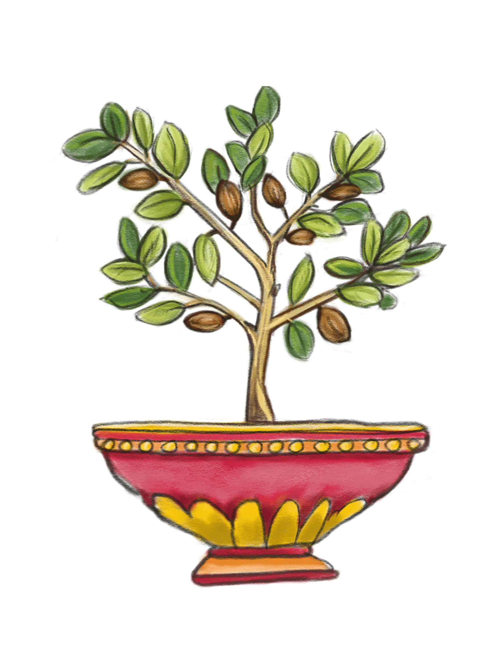 padma-myrobalane-1743×2297-1