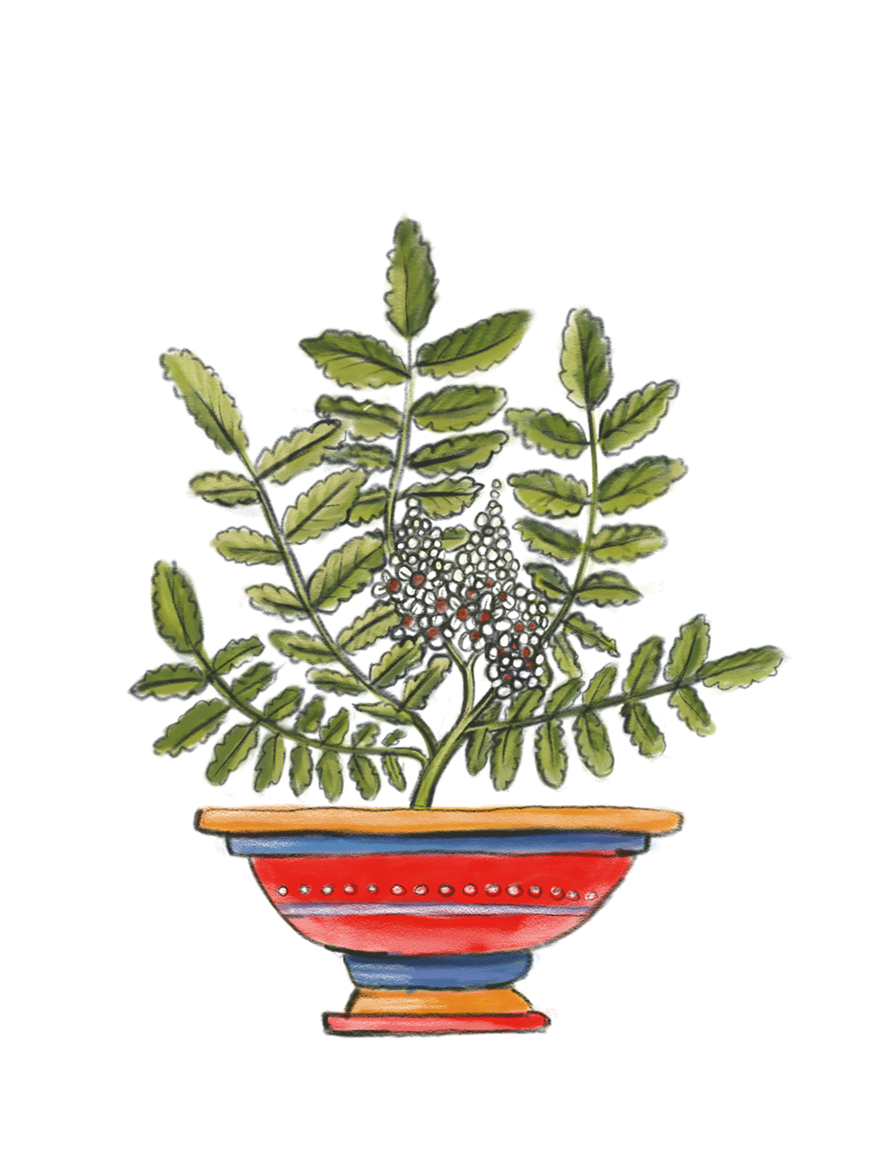 padma-nervo-1743×2297-1